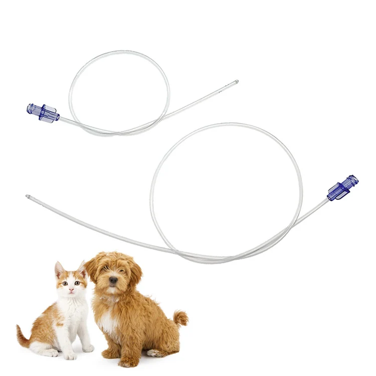 Disposable Animal Urinary Catheter Flexible Pvc Veterinary Urine Catheters With Luer Lock
