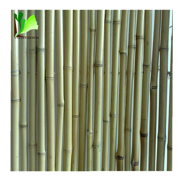 bamboo fence-a-01