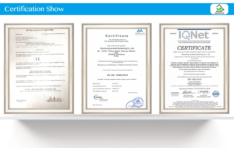 Certification Show.jpg