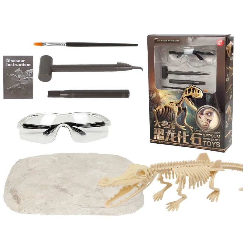 Diy Dinosaur Excavation Kit Dig Up Dino Fossil 3d Skeleton Dinosaur
