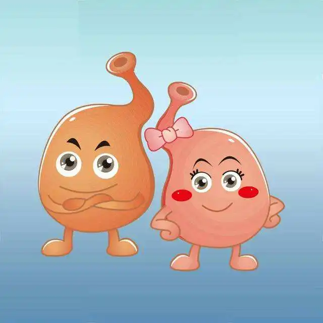 supply high quality probiotics supplement lactobacillus reuteri