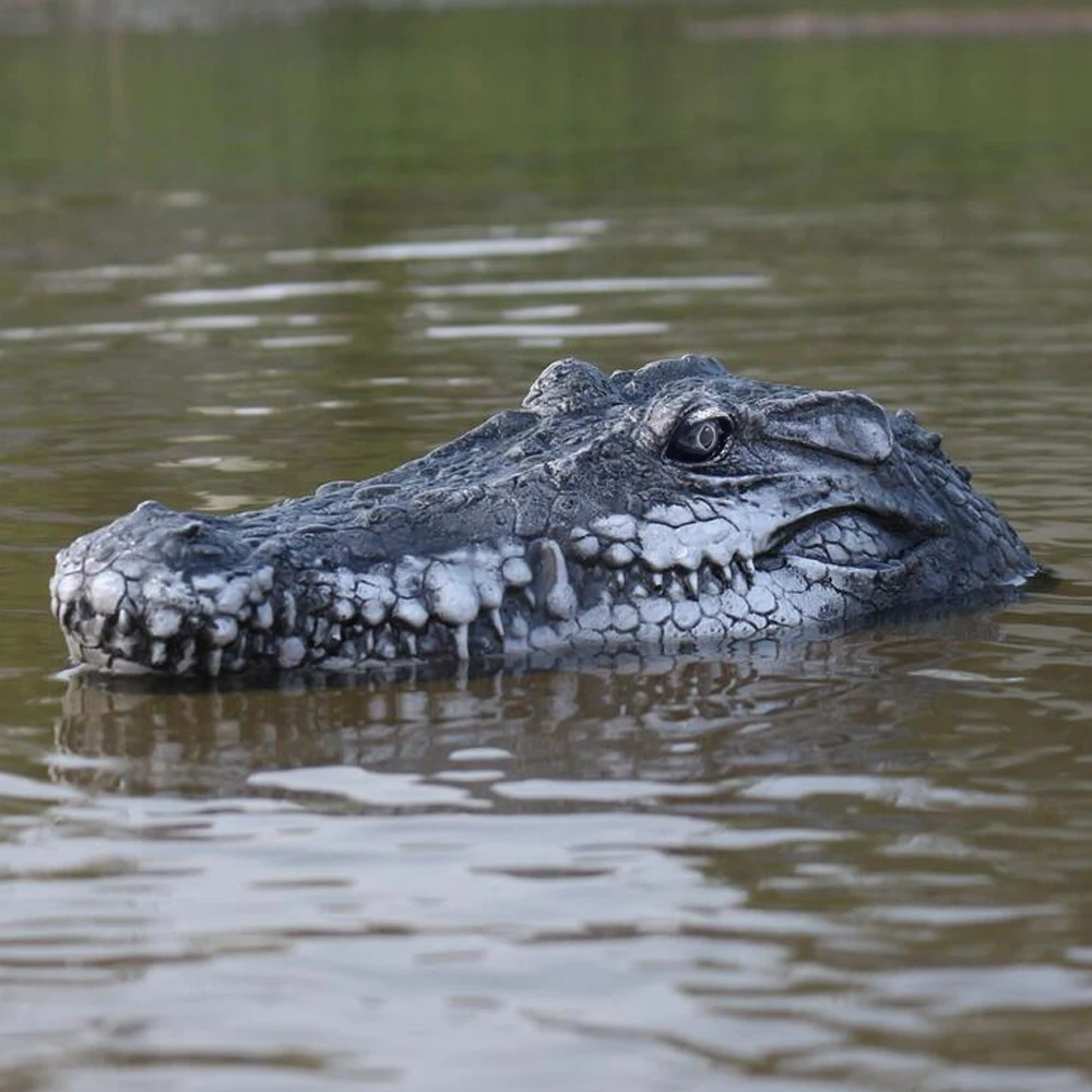 rc crocodile