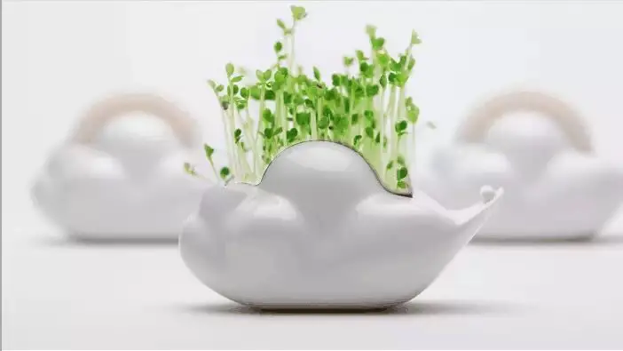 1C975960-1635-4785-9220-3F88BF5ECB6E