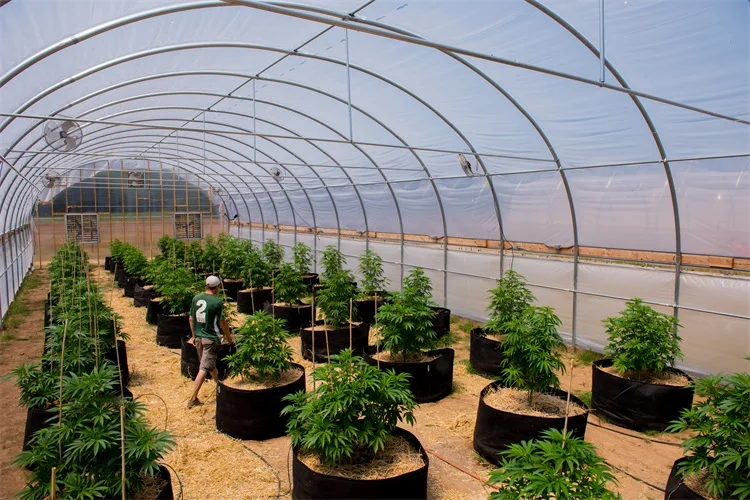 heavy duty greenhouse plant gardening