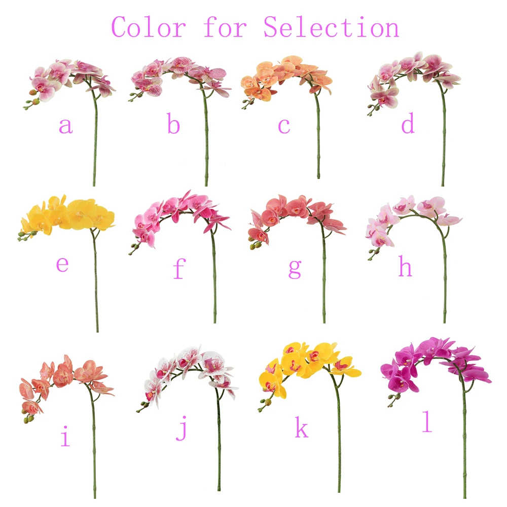 color for selection.jpg
