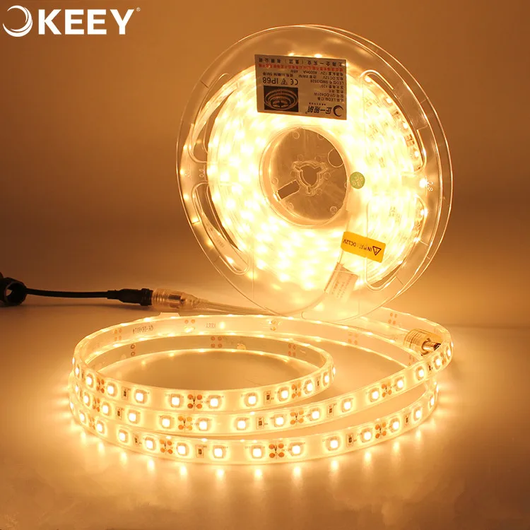 2020 keey hot sale 3528 color waterproof led light strip flexible factory wholesale DD401