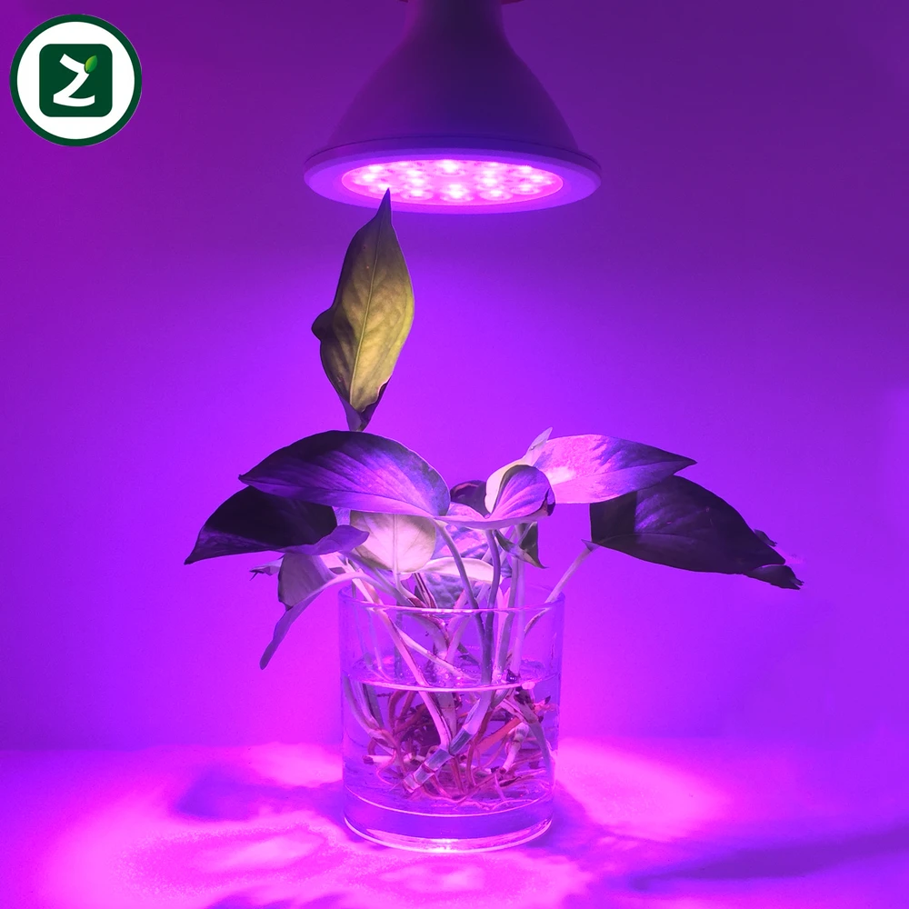 Full Spectrum Grow Light Lamp Par38 Par20 Par30 Led For Plant Growth