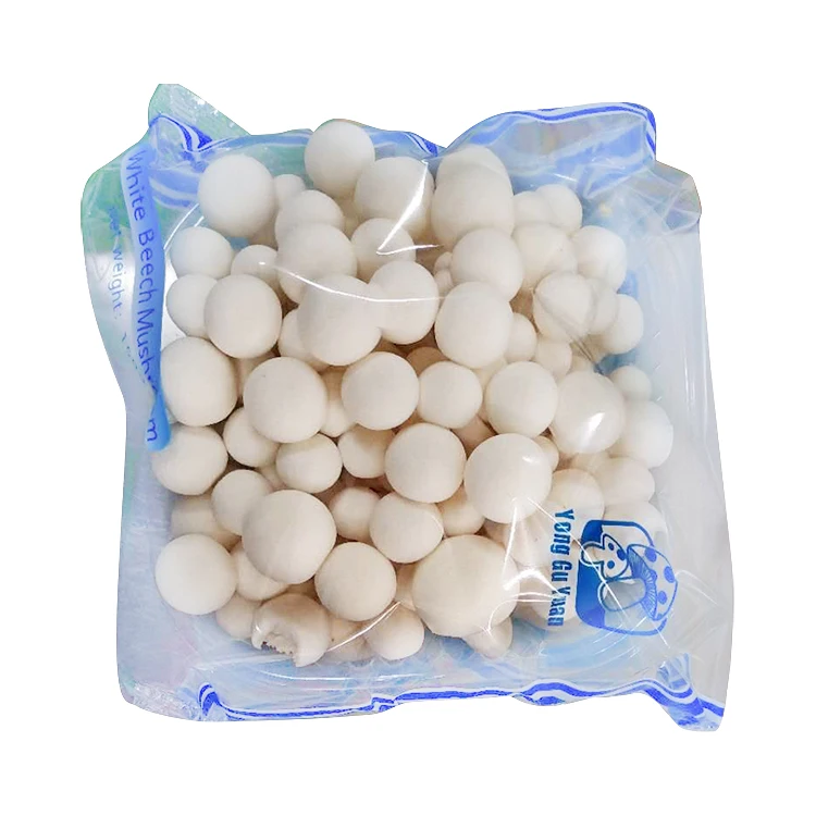 
Good selling fresh growing edible mushrooms for sale 