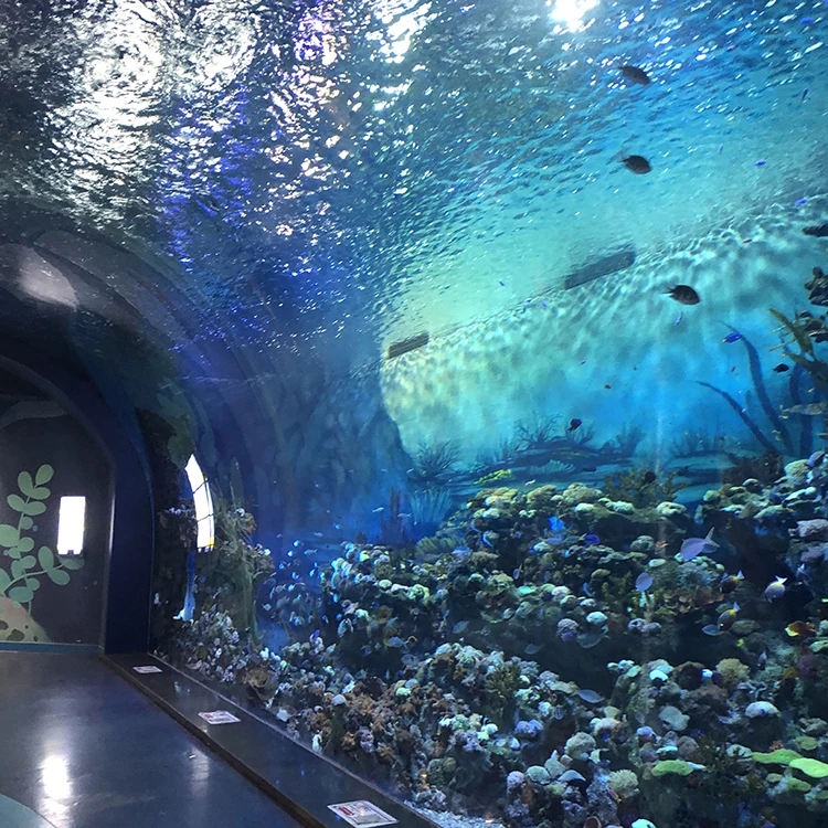 the aquarium factory