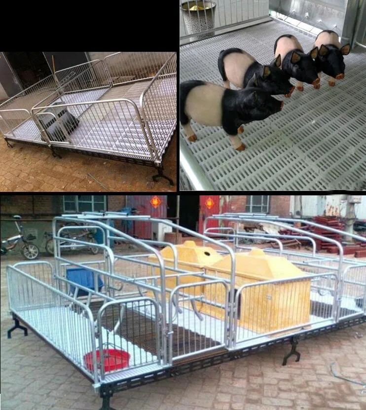 Wholesale Pig Farm Pig Sow Flooring System Plastic Pigs Swine Flooring