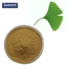 European Stocks/High Quality Natural Ginkgo Biloba Extract for Anti-cancer