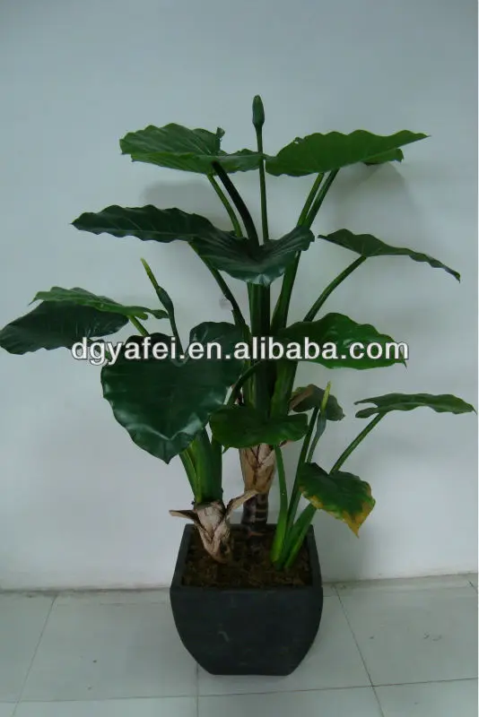 Plantas De Hoja Verde Grandes,Decoración De Plantas Ornamentales De