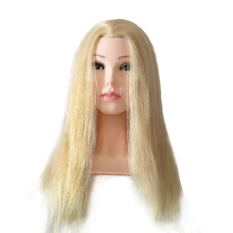 100% human hair training head