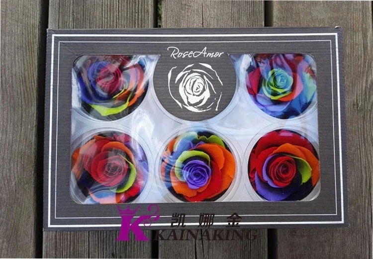 56cm Ecuador Forever Lasting Real Preserved Rainbow Roses For