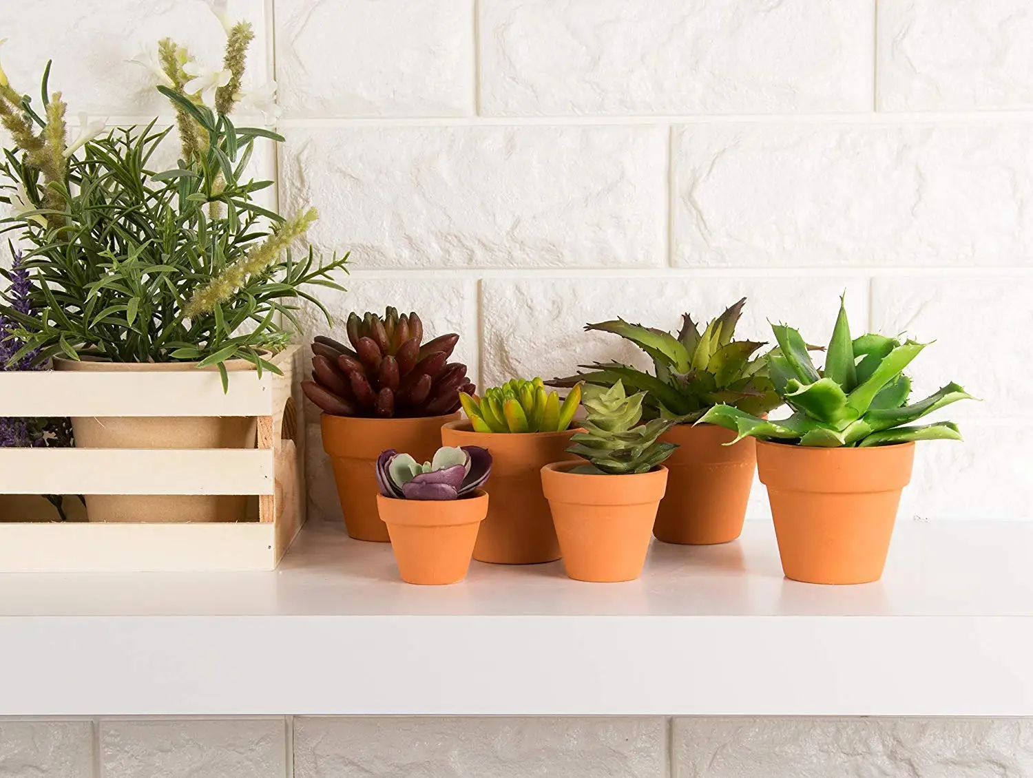 To Get Cheap Plant Pots 15 Smart Ideas for Gardening on a Budget