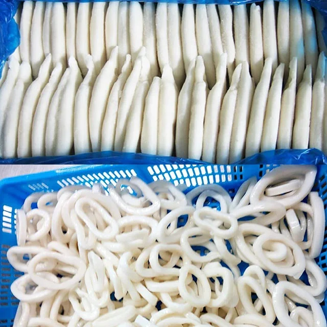 Frozen seafood squid tube and rings squid products.jpg