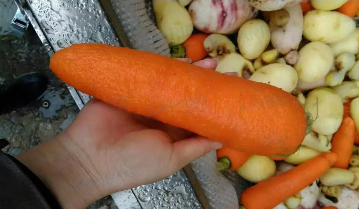  (2)