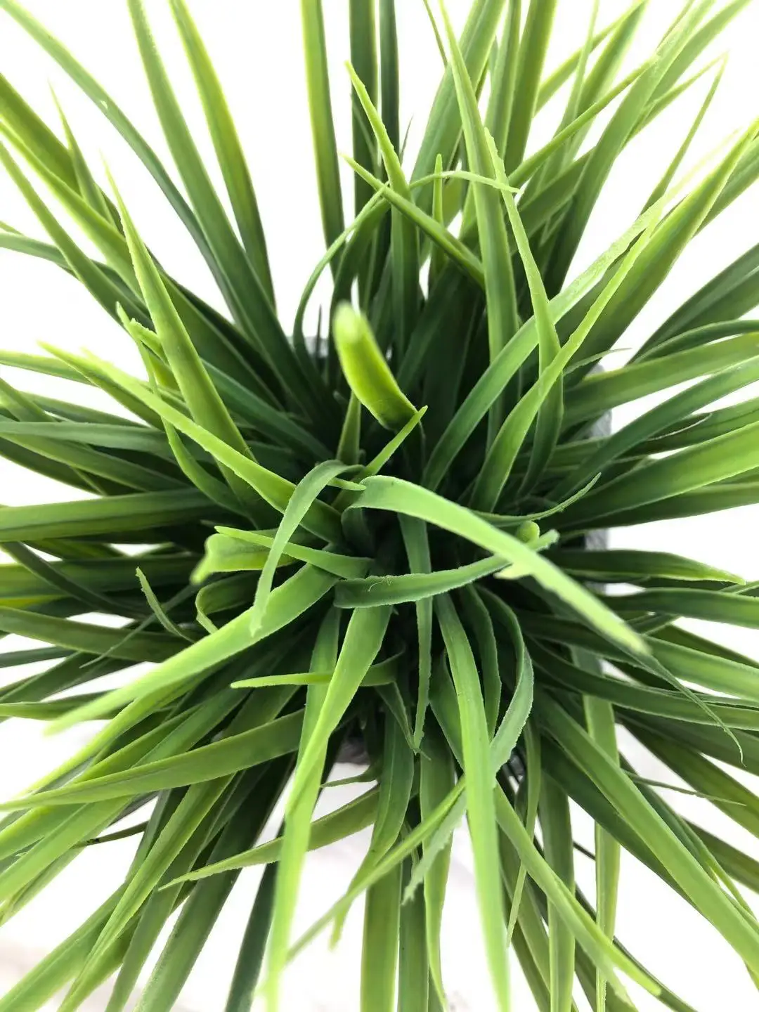 Hot Sale Special Green Artificial Grass Plants Real Hand Feeling Plants For Home And Garden