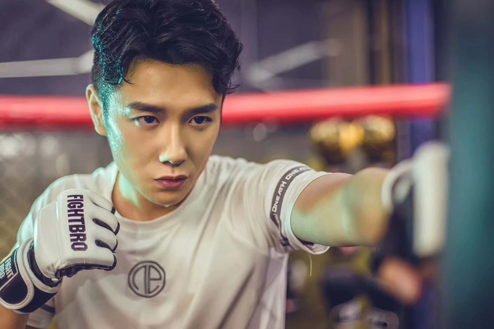 Fightbro Champ Adult Boxing Gloves Cowhide Leather Boxing Gloves Buy