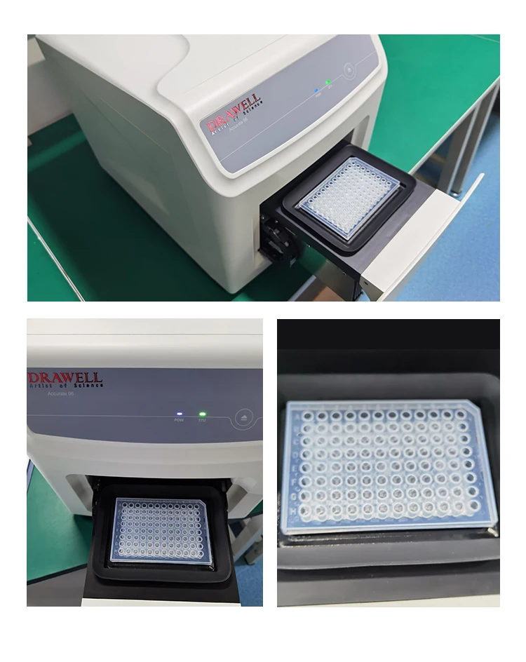 Professional Lab Rt Pcr Test Kit Machine Buy Rt Pcr Test Kit,Rtpcr