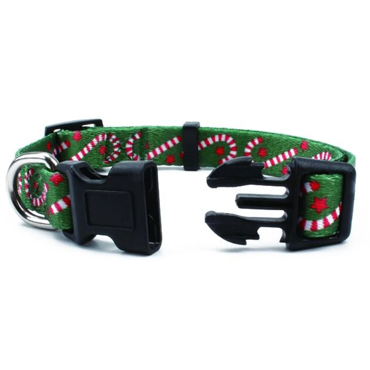 Pet Collar-7