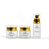 Private Label Skin Care Set Anti Aging Serum and Day & Night Cream For Moisturizing Hydrating Rebitalizing