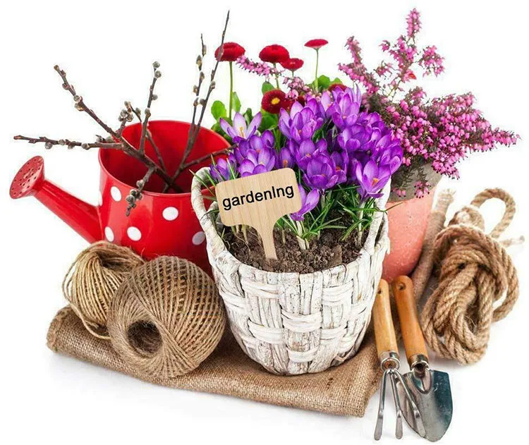 100pcs Bamboo Plant Labels Garden Markers Ttype Tags Wooden Plant Sign