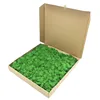 Natural Norwegian Reindeer Moss Preserved Craft Flower Decoration for Furnishing with all Kinds of Color Preserved Moss Wall