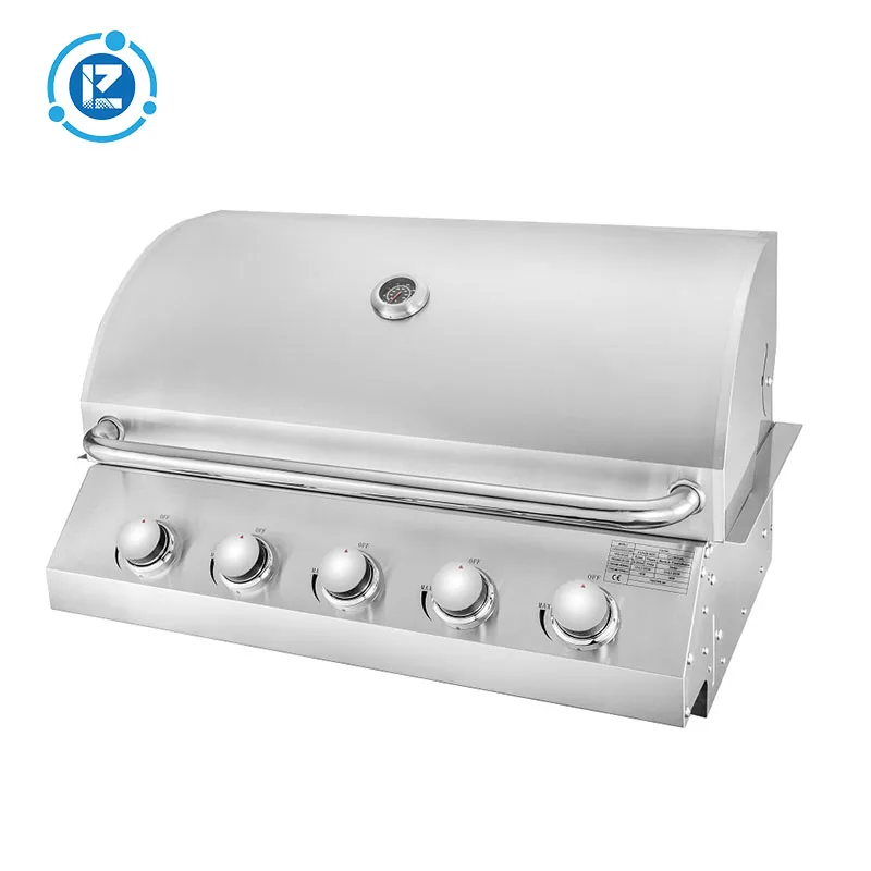 Longzhao BBQ stainless steel gas bbq wholesale for outdoor-2
