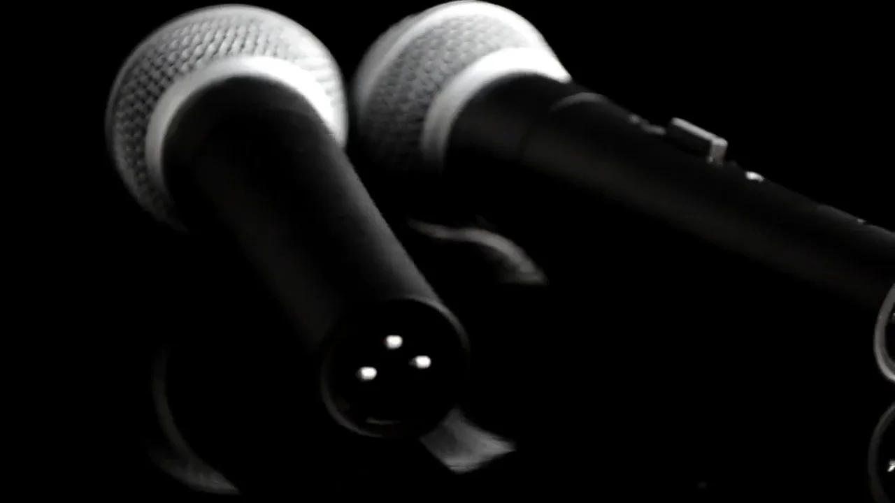 2020 New Design Shure Vocal Sm58 Dynamic Wired Ribbon Portable