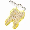 different size forms dental plastic crown