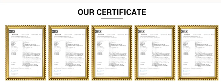 certificate_.png