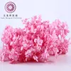 Wholesale Best Quality A Grade colorful preserved hydrangea for wall christmas wedding