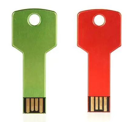Business Gift Customized Logo Colorful Key Shape 4GB USB 2.0 Flash Drive with Key Chain - ANKUX.COM