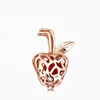 Amazon hot sale fruit shape pearl bead cages pendant for DIY jewelry making