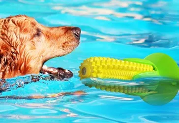 Pet dog water floating toy