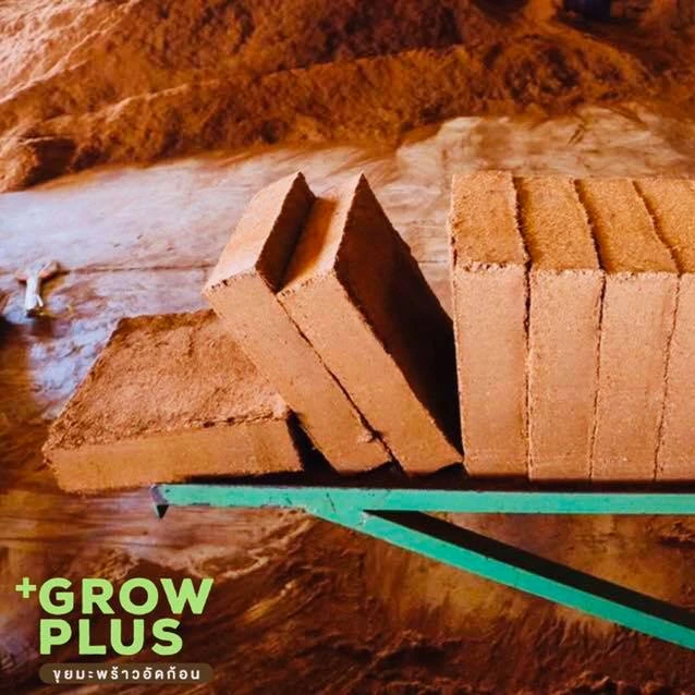 
5Kg per BLOCK 100% Natural COIR COCO PEAT Coconut Compressed Hydroponics Reusable Substrate Growing Soil Plants Grow Plus Brand 