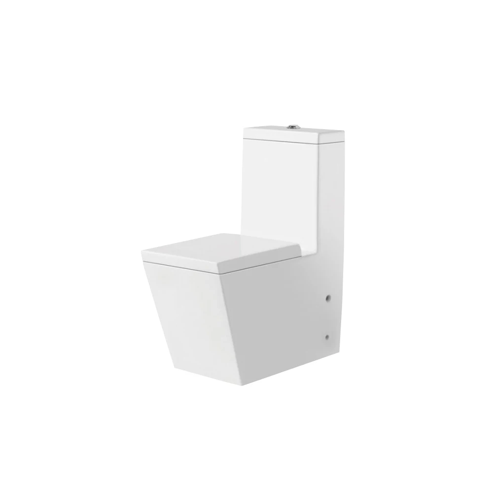 Luxurious Floor Stand Western Sitting Toilet Ptrap And Strap Wc