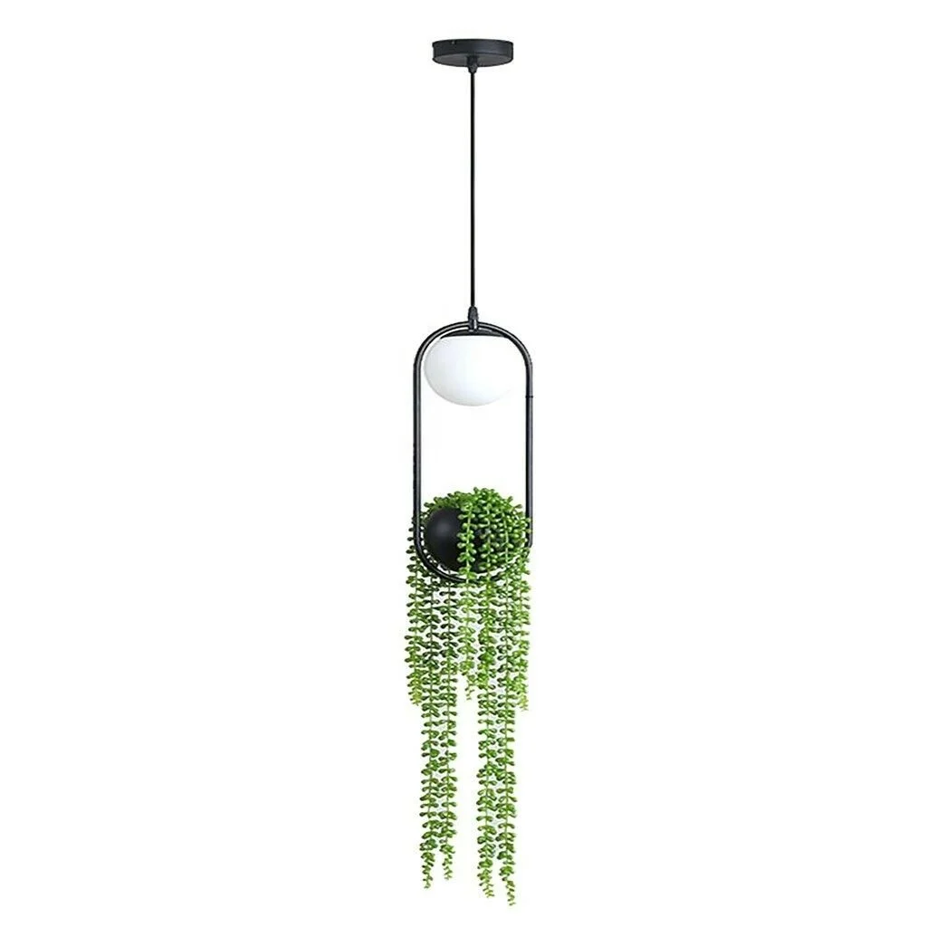 Nordic art deco wrought iron indoor plants  garden hanging Ceiling Chandeliers Pendant light