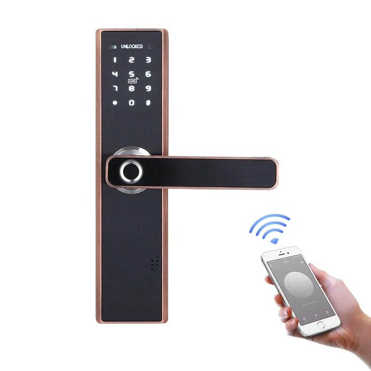 automatic door lock system for home