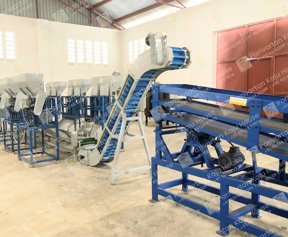 cashew nut processing plant