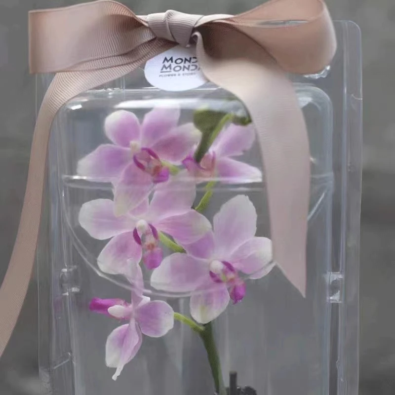 Plastic Wrap Clamshell Box For Potted Plants Flower Shipping Packing Box Can Be Customized Buy