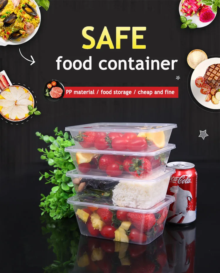 Custom Disposable Rectangle Frozen Plastic Food Container Packaging