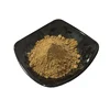 Factory supply combined spicebush leaf extract powder