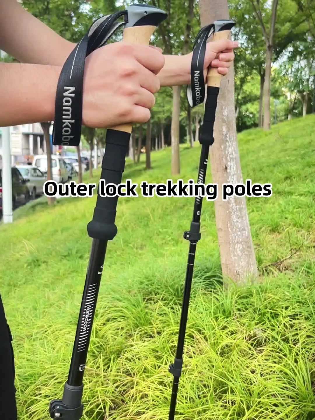 Aluminum Hiking Poles With Quick Lock Mechanism Straight Grip