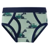 /product-detail/wholesale-little-boys-briefs-dinosaur-truck-toddler-kids-underwear-for-children-62413550504.html