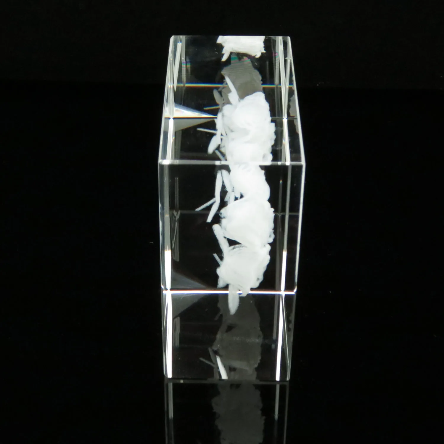 Crystal 3d Laser Etched Clear Glass Paperweight Buy Crystal 3d Laser