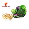 VB relieves toxins such as alcohol and nicotine, soothes headaches, migraine, and protects the liver