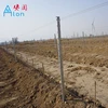 Trellis For Apple