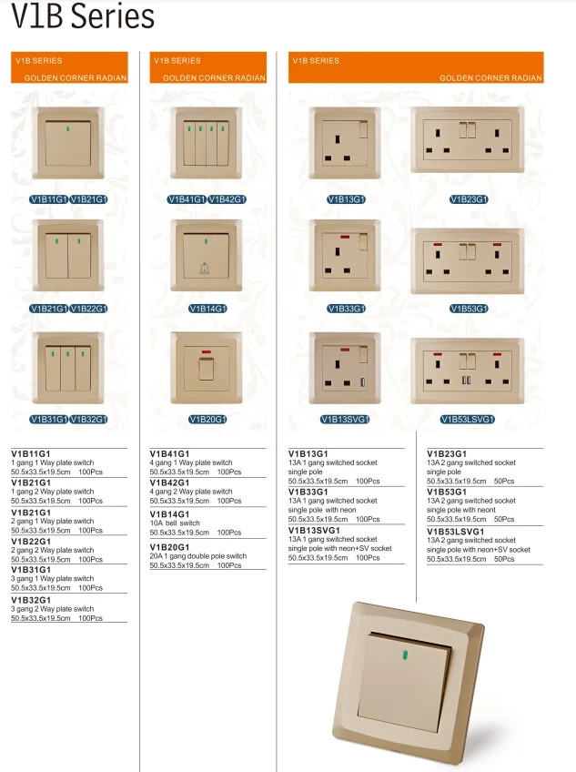 VNX Best Selling 2 Gang Multi Switched Socket Wholesale Home Using Electrical Switch and Socket 250V